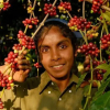 Отель Evolve Back, Coorg, фото 20
