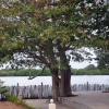 Отель Serendib Hotels Nilaveli, фото 10