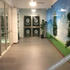 Отель Young Tree Hotel, фото 20