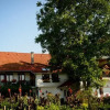 Отель Pensiunea Tinion Zarnesti, фото 7