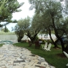 Отель Villa With 3 Bedrooms in Peñíscola, With Private Pool and Terrace - 3, фото 12