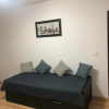 Отель Apartament Kiseleff, фото 4