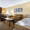 Отель Comfort Suites Wisconsin Dells Area, фото 24