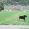 Отель 7N Ranch Resort, фото 12