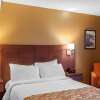 Отель Quality Hotel & Suites, фото 39