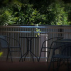 Отель Room Motels Kingaroy, фото 17