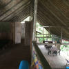 Отель Punta Brava, фото 21
