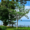 Отель The Geest Plantation House, фото 1