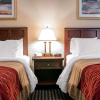 Отель Comfort Inn Livonia, фото 3