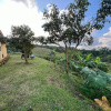 Отель Villas Mason, фото 15