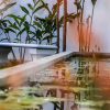 Отель Villa White Dome, фото 13