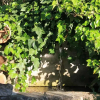 Отель Le Clos Les Eydins, фото 12
