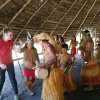 Отель Wimba Jungle Lodge, фото 20