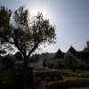 Отель B&B Tenuta Ranieri, фото 9