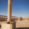 Отель Apartment in Jerash, фото 21