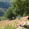 Отель dell' Olmo, фото 5
