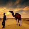 Отель Aspirants Trishul Desert Resort, фото 6