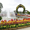 Отель Son Trang Hotel Da Lat, фото 16