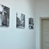 Отель Laisves Avenue Hostel, фото 14