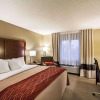 Отель Comfort Inn East, фото 7