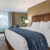 Отель Comfort Inn & Suites Diamondale – Lansing, фото 25