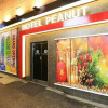 Отель Peanut Hotel, фото 15