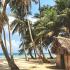 Отель Cabins in Asserya Island - San Blas paradise - meals included, фото 15