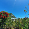 Отель Punakaiki Beach Camp, фото 16