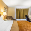 Отель Comfort Inn New Glasgow, фото 3