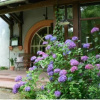 Отель Landgasthof zum Rössle, фото 1