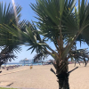 Отель Los Playeros en los Cristianos, фото 20