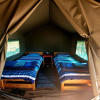 Отель Thorn Tree Bush Camp, фото 28