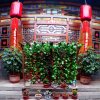 Отель Pingyao Baichanghong Inn, фото 1