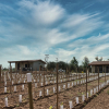 Отель Villas en Los Retoños, фото 38