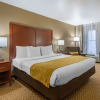Отель Comfort Inn & Suites, фото 6