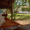 Отель Turtle Cove Lodge and Yoga Shala, фото 22