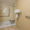Отель Hampton Inn & Suites Orlando-South Lake Buena Vista, фото 10