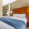 Отель Comfort Suites Greensboro - High Point, фото 4