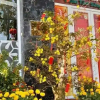 Отель Khach San Van Quang, фото 16