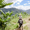 Отель Finca La Manchuria, фото 14