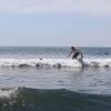 Отель The Driftwood Surfer, фото 19