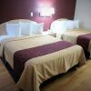 Отель Red Roof Inn & Suites San Antonio – Fiesta Park, фото 4