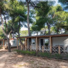 Отель Amadria Park Camping Šibenik Mobile Homes, фото 1
