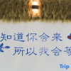Отель Shanghai 80 Inn (Zhujiajiao Subway Station), фото 1