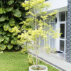 Отель Diyathala Regency Boutique Hotel, фото 42