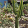 Отель Los Cactus de Islón, фото 11