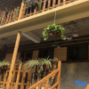 Отель Hangzhou Yulin Homestay, фото 3