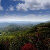 Отель Bear Tracks - Two Bedroom Cabin, фото 43