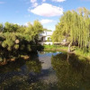 Отель The Olive Thrush Cottage, фото 19