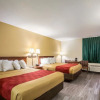 Отель Econo Lodge Inn & Suites Fairview Heights near I-64 St Louis, фото 17